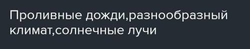 Причины образования лесов?​