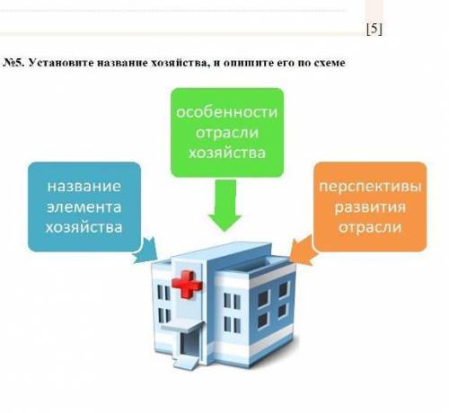 №5. Установите название хозяйства, и опишите его по схеме​