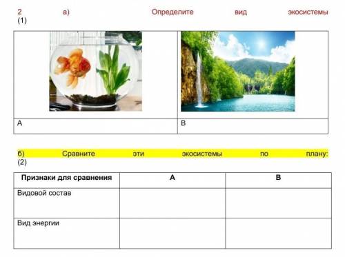 2 а) Определите вид экосистемы (1)A Bб) Сравните эти экосистемы по плану: (2)Признаки для сравнения