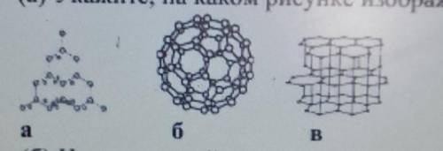 6. Известно, что у углерода имеется несколько видов аллотропных видоизменений. (а) Укажите, на каком