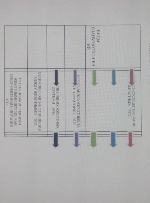 2. ЖИВОТНЫЙ МИР. ВЗАИМООТНОШЕНИЯ ЖИВОТНЫХ. СОПОСТАВЬТЕ ТЕРМИНЫ.ОЕ СОСУЩЕСТВОВАНИЕЖИВОТНЫХ - этоВИДЫВ