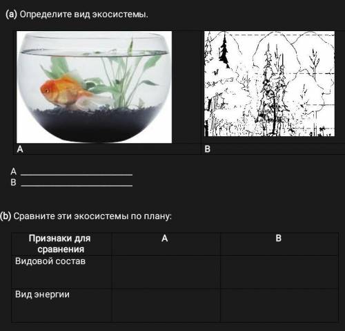 Определите вид ЭКО системы дам 10 б​