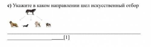 Укажите в каком направлении шел искусственный отбор​