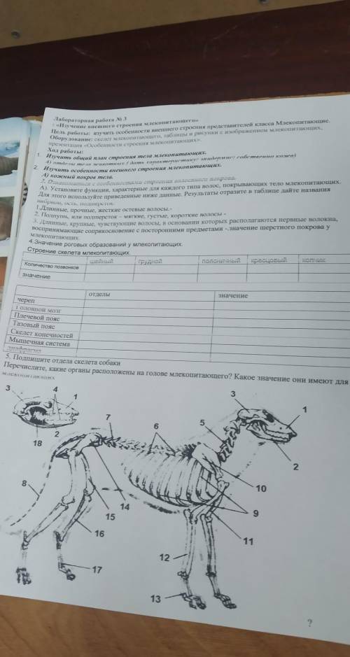 Лабороторная работа по биологии​