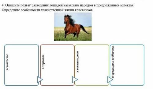 Опишите пользу разведения лошадей казахским народом в предложенных аспектах. Определите особенности