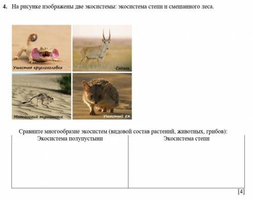 4. На рисунке изображены две экосистемы: экосистема степи и смешанного леса. Сравните многообразие э