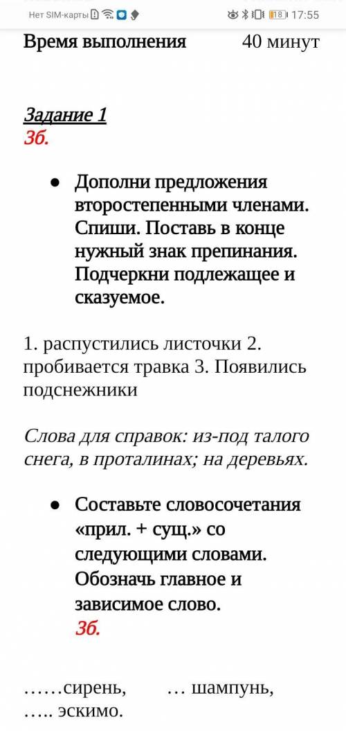 подруге надо у её СОЧ по русскому