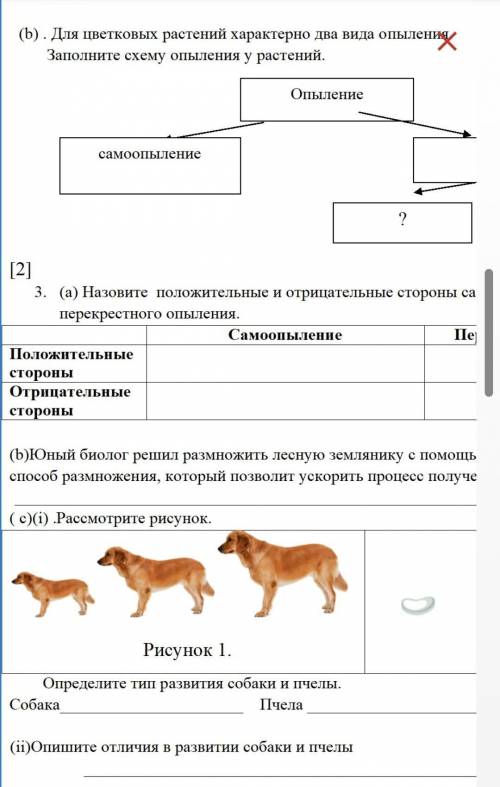 ЗНАТОКИ БИОЛОГИЙ НАДЕЮСЬ НА ВАЩУ ПО ВОПРОСАМ В КОММЕНТАРИЙБРЕД ОТВЕТ-БАН!​