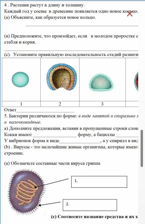 ПРОЩУ У ЗНАТОКОВ БИОЛОГИЙ БРЕД ОТВЕТ-БАНПОЛНЫЕ ВОПРОСЫ В КОММЕНТАРИЯХ,ВЕДЬ ТУТ НЕ ПОМЕЩАЕТСЯ​