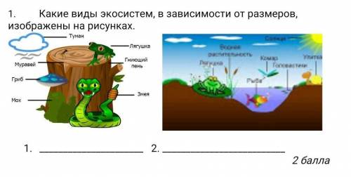 Какие виды экосистем, в зависимости от размеров, изображены на рисунках ЭТО СОЧ​