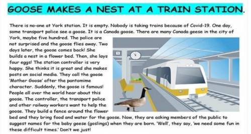 I.Reading Task1. Read the textAnswer the questions 1. Who sees the goose first? Where is the station