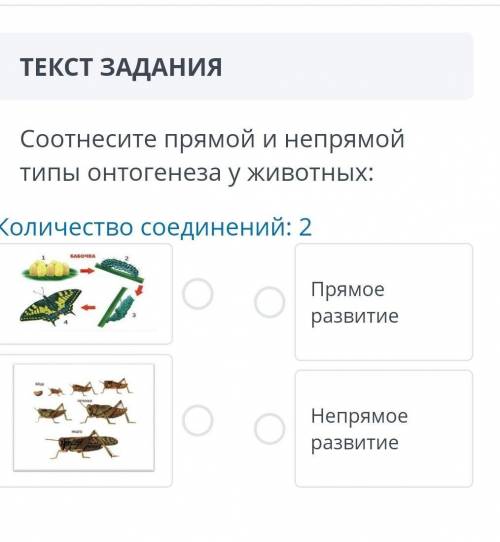 Соотнесите прямой и непрямой типы онтогенеза у животных: количество соединений: 2​