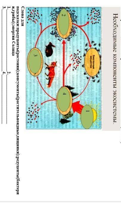 Выберите и подпишите правильно компоненты экосистемы( ) Слова для подсказки:продуценты(растения);кон