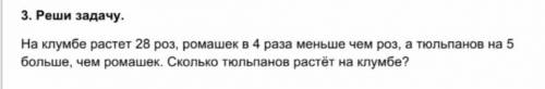 3. Реши задачу. На клумбе растет 28 роз, ромашек в 4 раза меньше чем роз, а тюльпанов на 5 больше, ч