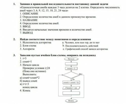 1. Запиши в правильно последовательности постановку данной задачи «Одноклеточная амеба каждые 3 часа