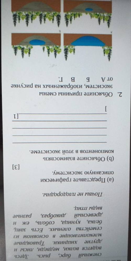 Соч по естествознании 6 класс 4 четверть ​