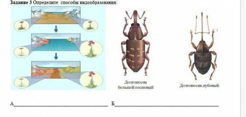 ))) географическое или экологическое видообразование​