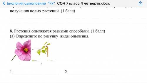 3.Опишите особенности и функции молекулы ДНК. ( ) ДНК Особенности Функции 4. У морской свинки в клет