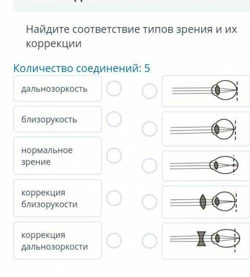 ТЕКСТ ЗАДАНИЯ Найдите соответствие типов зрения и их коррекцииКоличество соединений: 5дальнозоркость