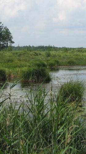 Розповідь про любий заповідник в Україні ( не багато )​