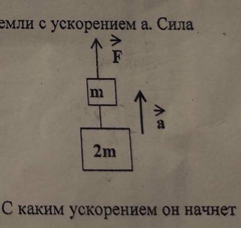 Два груза тянут за нить вверх так, что они движутся относительно Земли с ускорением а. Сила натяжени