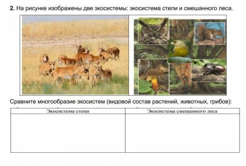 Сравните многообразие экосистем (видовой состав растений, животных, грибов):​