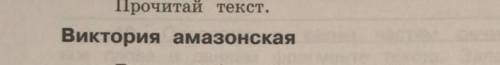 Почему Виктория амазонская можно назвать Королевой Цветков растений Докажи свою точку зрения использ