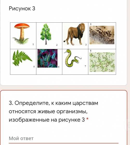 Определите, к каким царствам относятся живые организмы, изображенные на рисунке 3 *​