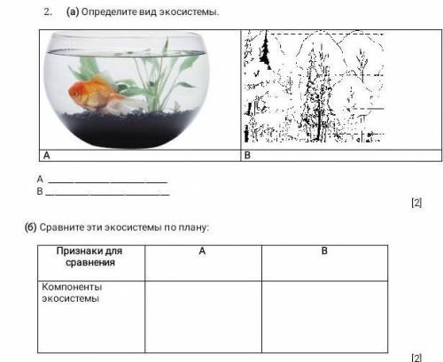 Сравните эти экосистемы по плану признаки для сравнения компоненты экосистемы ​