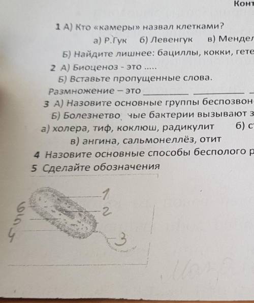 Контрольоная работа В-11 А) Кто «камеры» назвал клетками?а) Р.Гук б) Левенгук в) МендельБ) Найдите л