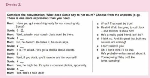 Exercise 2. Complete the conversation, What doos Sonla say to her mum? Choose from the answers (a-g)