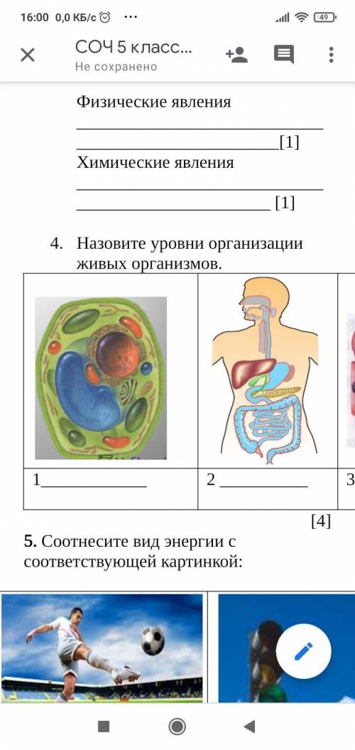 Назовите уровни организации живых организмов.