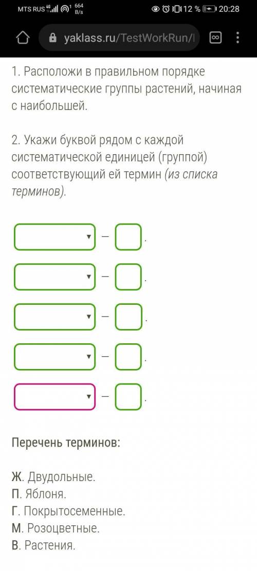 Расположите в правильном порядке систематические группы растений наибольшую каждой буквы рядом систе