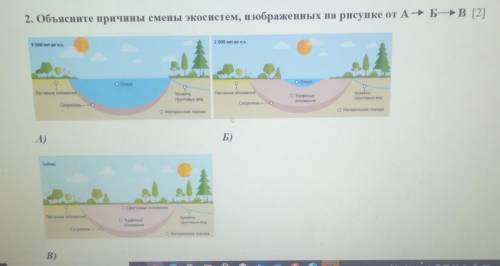 2. Объясните причины смены экосистем, изображенных на рисунке от А-Б-B ​