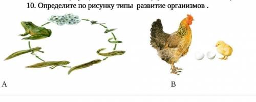 . СПОЧНО Определите по рисунку типы развитие организмов .​