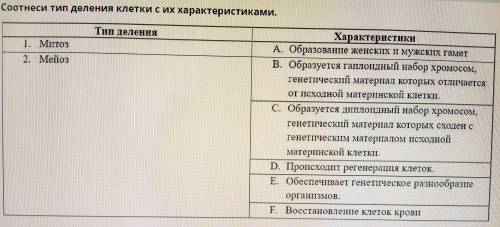 Соотнеси тип деления клетки с их характеристиками.