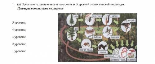 НУЖНО СДАТЬ В ТЕЧЕНИИ 40 МИНУТ​