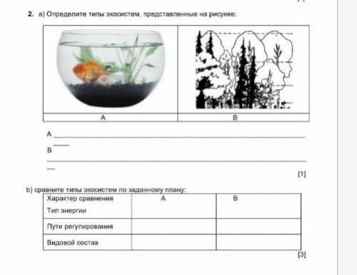 2. a) Определите типы экосистем, представленные на рисунке: А ВА В [1]b) сравните типы экосистем по