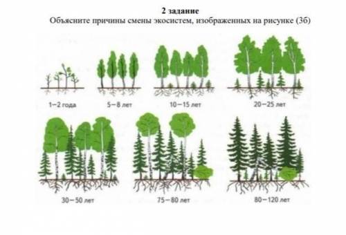 Обьесните причины смены экосистем , изображённых на рисунке (36)​