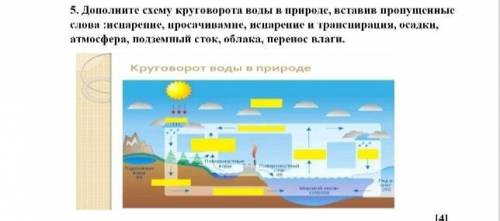 5. Дополните схему круговорота воды в природе, вставив пропущенные слова :испарение, просачивамне, и