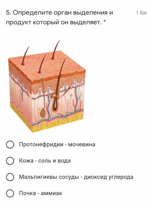 Определите орган выделения и продукт который он выделяет. ​