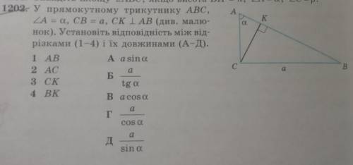 у прямокутному трикутнику ABC кутА=а, СК АВ. установіть відповідність між відрізками (1-4) і їх довж