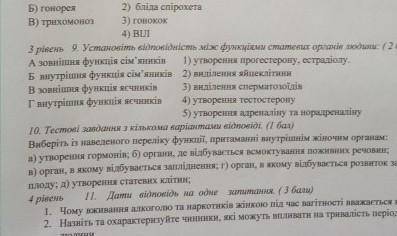 9 задание Установите соответствие между функциями половых органов человека:А) внешняя функция семенн