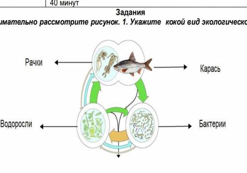 Внимательно рассмотрите рисунок. 1. Укажите кокой вид экологического сообщества здесь изображено ( )