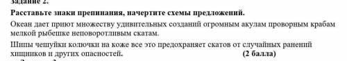 Расставьте знаки препинания, начертите схемы предложений. Океан дает приют множеству удивительных со