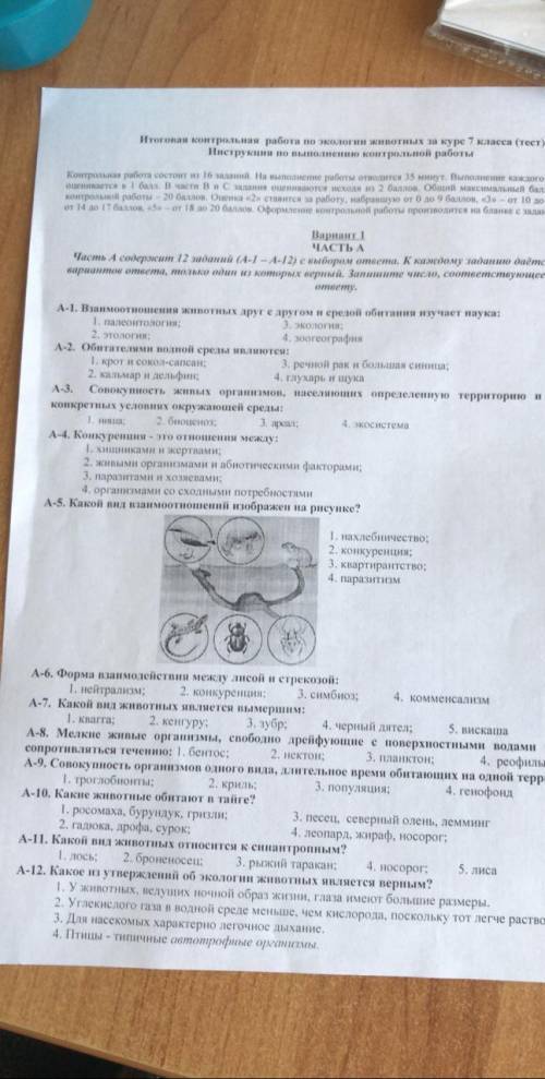 Решите вопрос жизни и смерти​