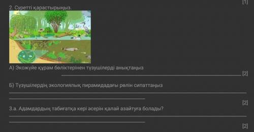 А) Экожүйе құрам бөліктерінен түзушілерді анықтаңыз [2]Б) Түзушілердің экологиялық пирамидадағы рөл