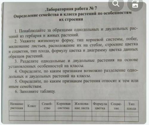 Работа № 7 Определение семейства и класса растений по особенностямих строения1. Понаблюдайте за обра