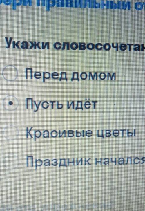 Выбери правильный ответ Укажи словосочетание.Перед домомПусть идетКрасивые цветыПраздник начался​