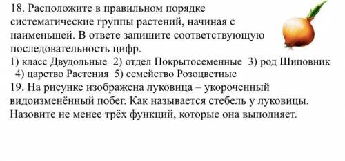 ответьте на задания с 6 по 18 в файле.